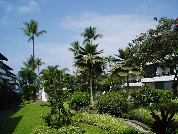 Un jardin luxuriant, avec des palmiers et des plantes en fleurs, un sentier et un bâtiment à la façade blanche et doté de balcons.