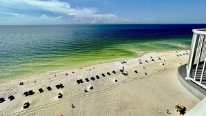 A beach with rows of umbrellas and beach chairs, a clear sky, and the ocean.