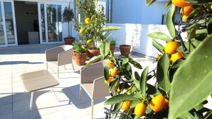 An outdoor seating area with chairs and potted plants. - Gatto Bianco Le Terrazze (Bari)