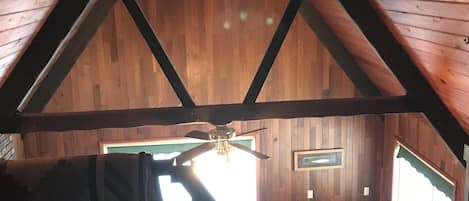 Reproductor de DVD, libros, videoteca