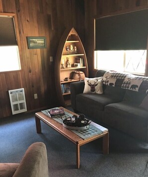 DVD player, books, video library