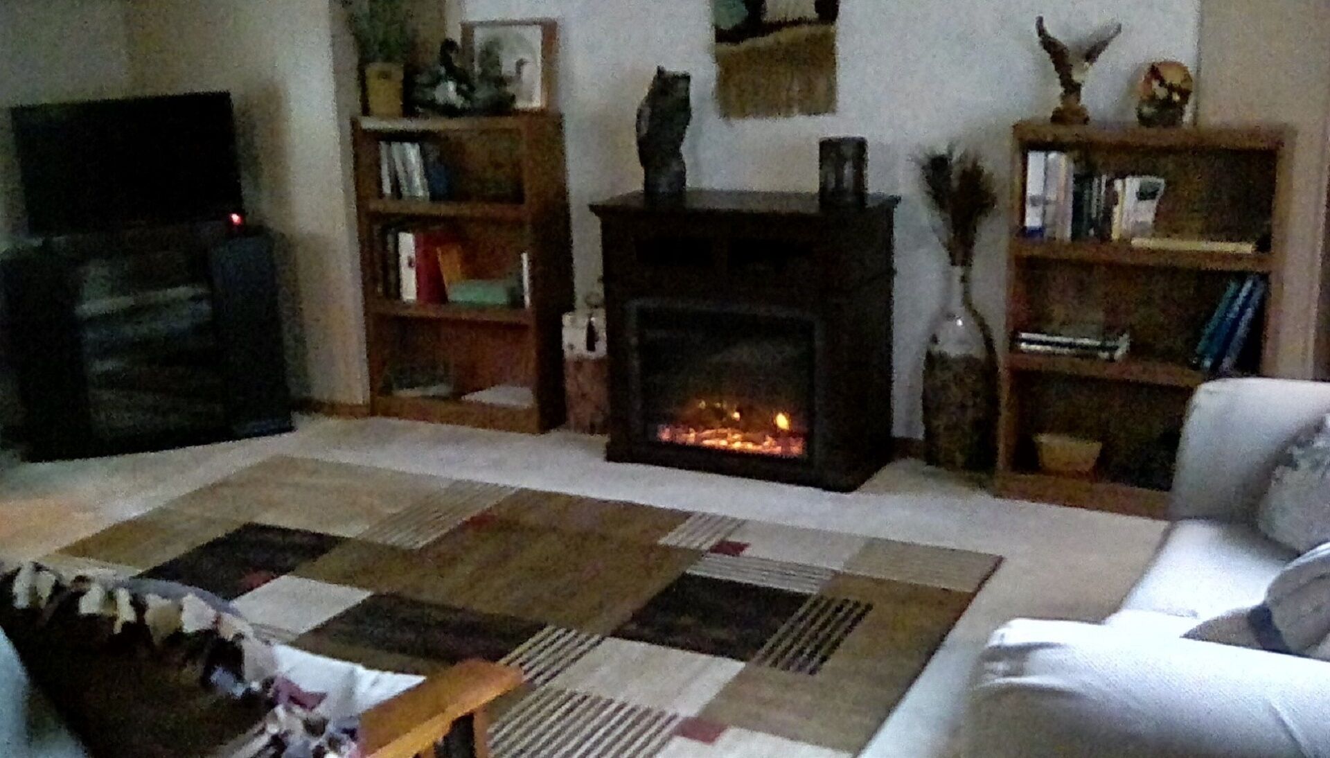 スマートテレビ、暖炉、DVD プレーヤー、書庫