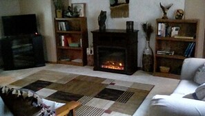 Smart-tv, eldstad, dvd-spelare och böcker