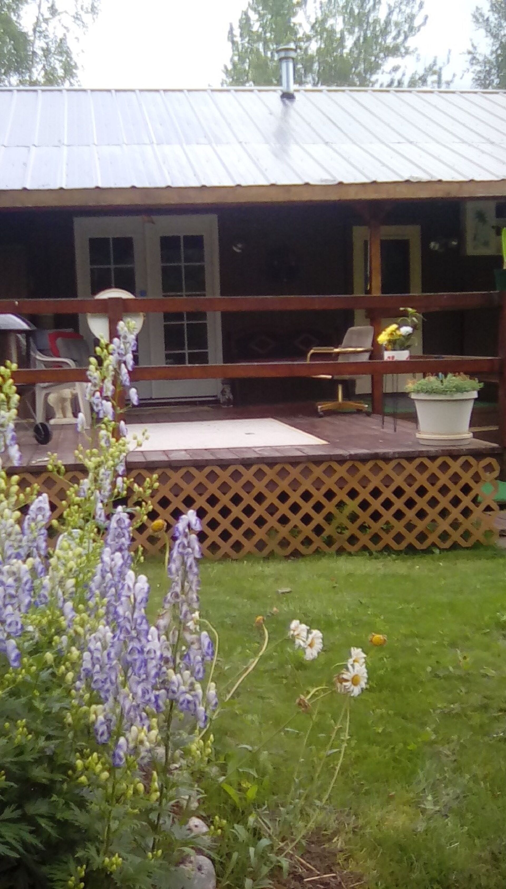 テラス / パティオ