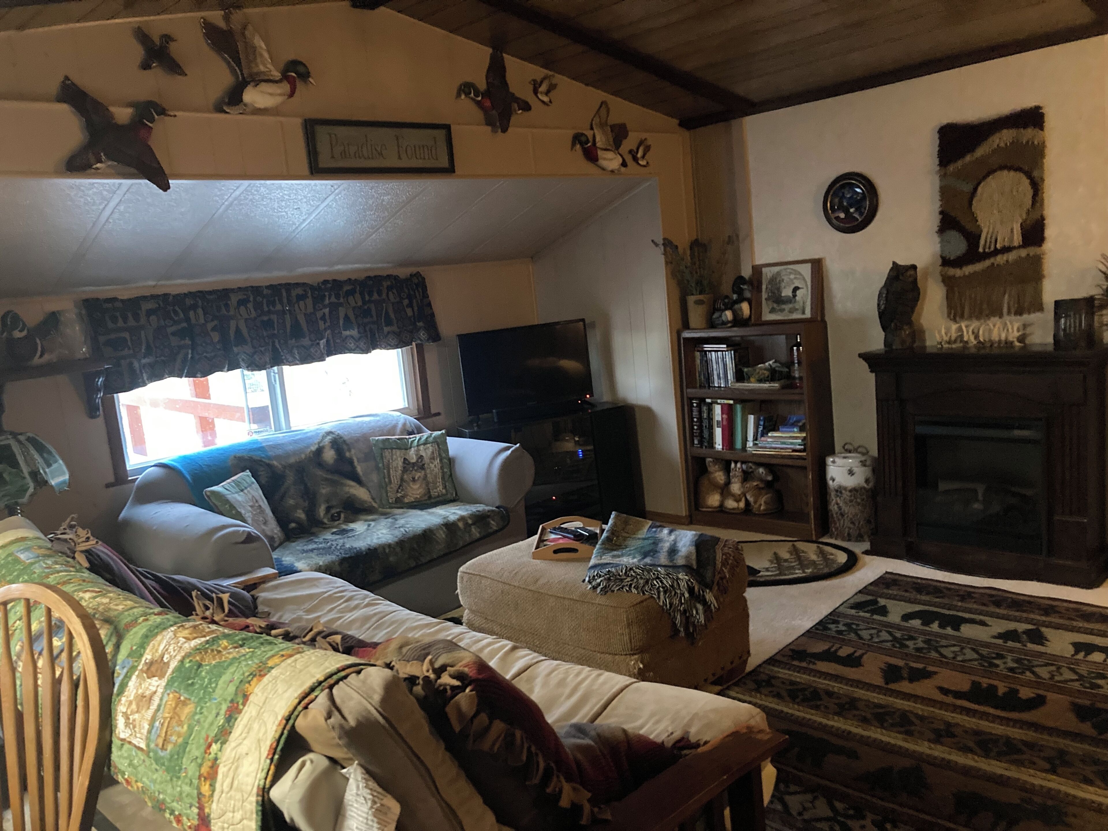Smart TV, fireplace, DVD player, books