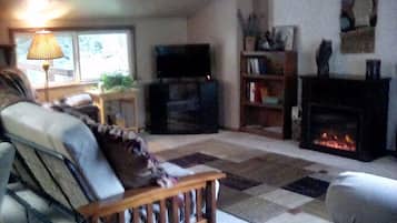 Smart TV, fireplace, DVD player, books