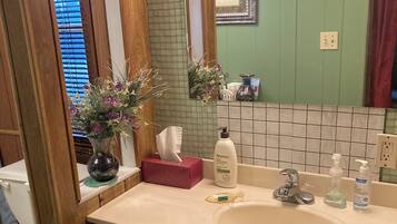 Suihkun ja ammeen yhdistelmä, hiustenkuivaaja, pyyhkeet, saippua