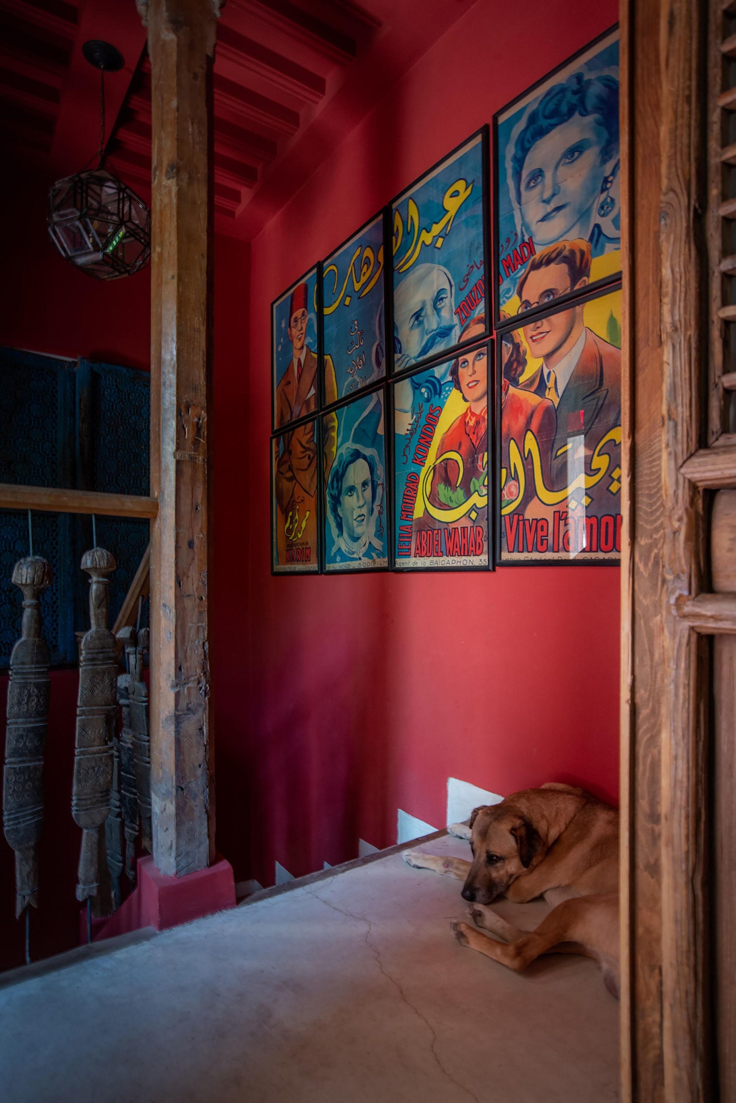 Foto - Riad Kbour & Chou