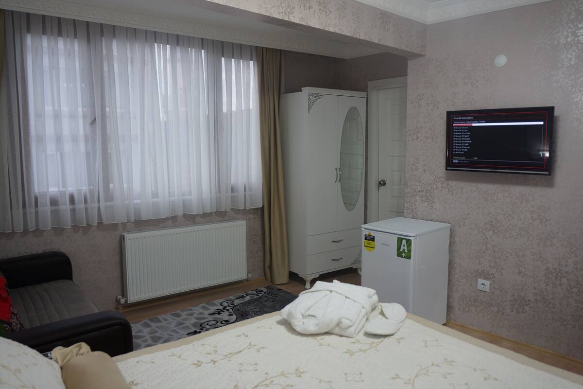 Une chambre d’hôtel équipée d’un lit, d’une armoire, d’un radiateur, d’une télévision et d’un petit réfrigérateur.