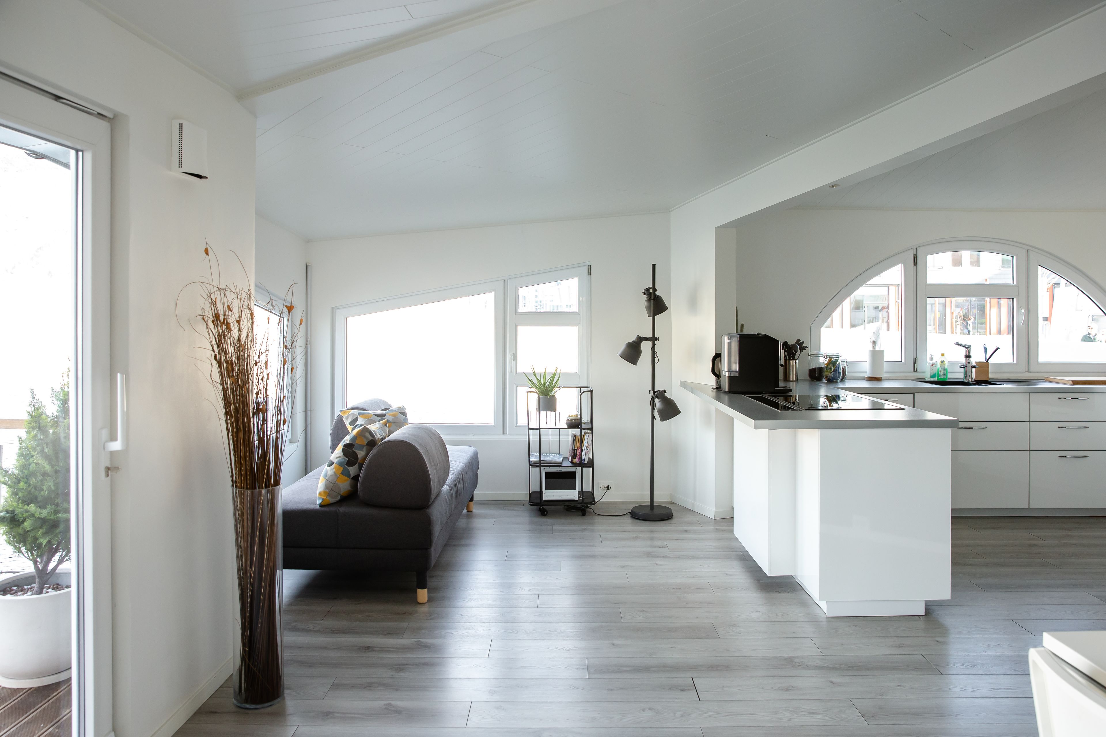 A modern kitchen with white cabinetry, a grey sofa, and a potted plant.