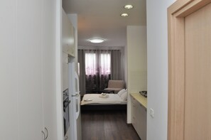 Classic Studio | Private kitchen | Full-size fridge, microwave, oven, stovetop