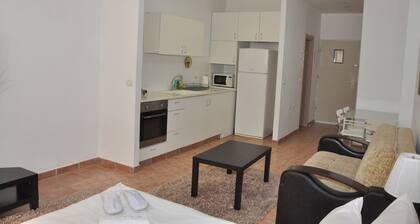 Star Apartments Petah Tikva