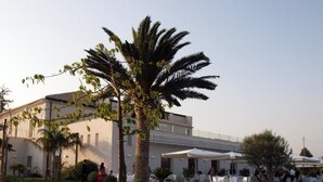 Evento al aire libre con mesas y sillas, palmeras y un edificio al fondo.
