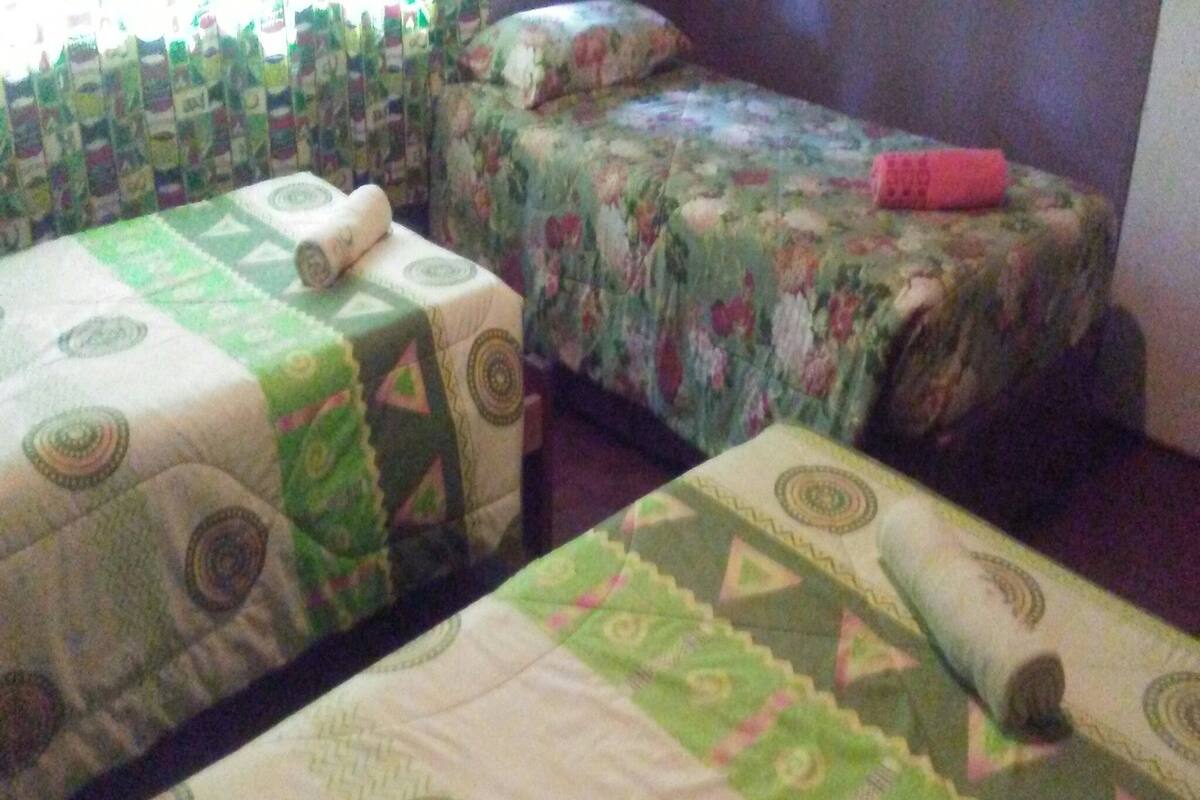 A room with two single beds, each with a patterned bedspread and pillows.
