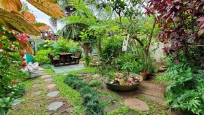 Um jardim exuberante com diversas plantas, um banco de madeira e uma pequena mesa.