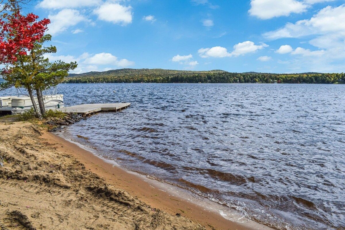 A lakeside view with a dock, sandy beach, and a tree with red leaves.