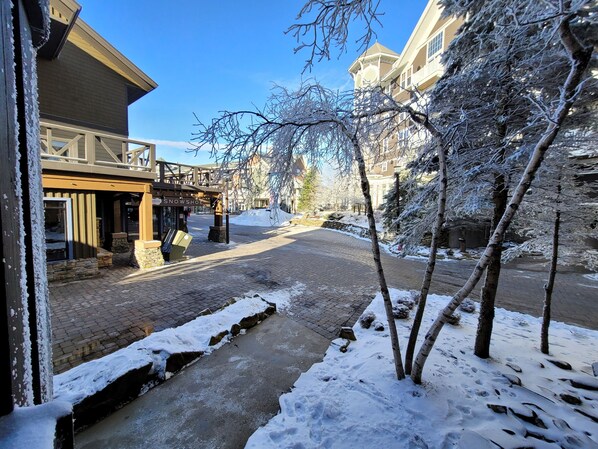 Property grounds - TOP FLOOR IN RIMFIRE/VILLAGE! NEVER RENTED BEFORE JULY 2022 2 BEDROOMS SLEEPS 8! (Snowshoe)