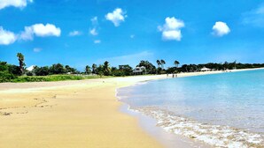 Une plage avec une eau d’un bleu limpide, un rivage sablonneux et des palmiers.
