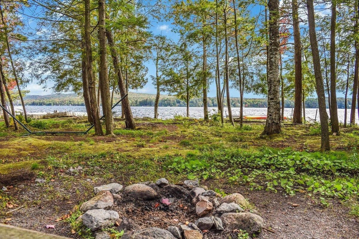 Una zona boscosa con vista su un lago, un braciere e un pontile di legno.