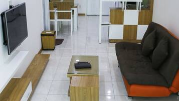 Plasma TV, fireplace, video library