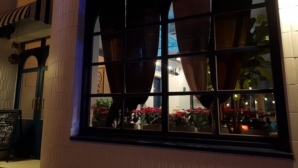 A window with multiple panes, curtains, and reflections of indoor plants and lights. - Hostel Single Single (Busan)