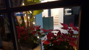 A window with red poinsettia plants in pots, a kitchen area with a stove and cabinets, and a staircase in the background. - Hostel Single Single (Busan)