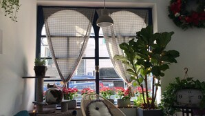 A cozy room with a large window, a wicker chair, a potted plant, and a clock on the wall. - Hostel Single Single (Busan)