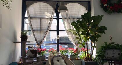 Hostel Single Single