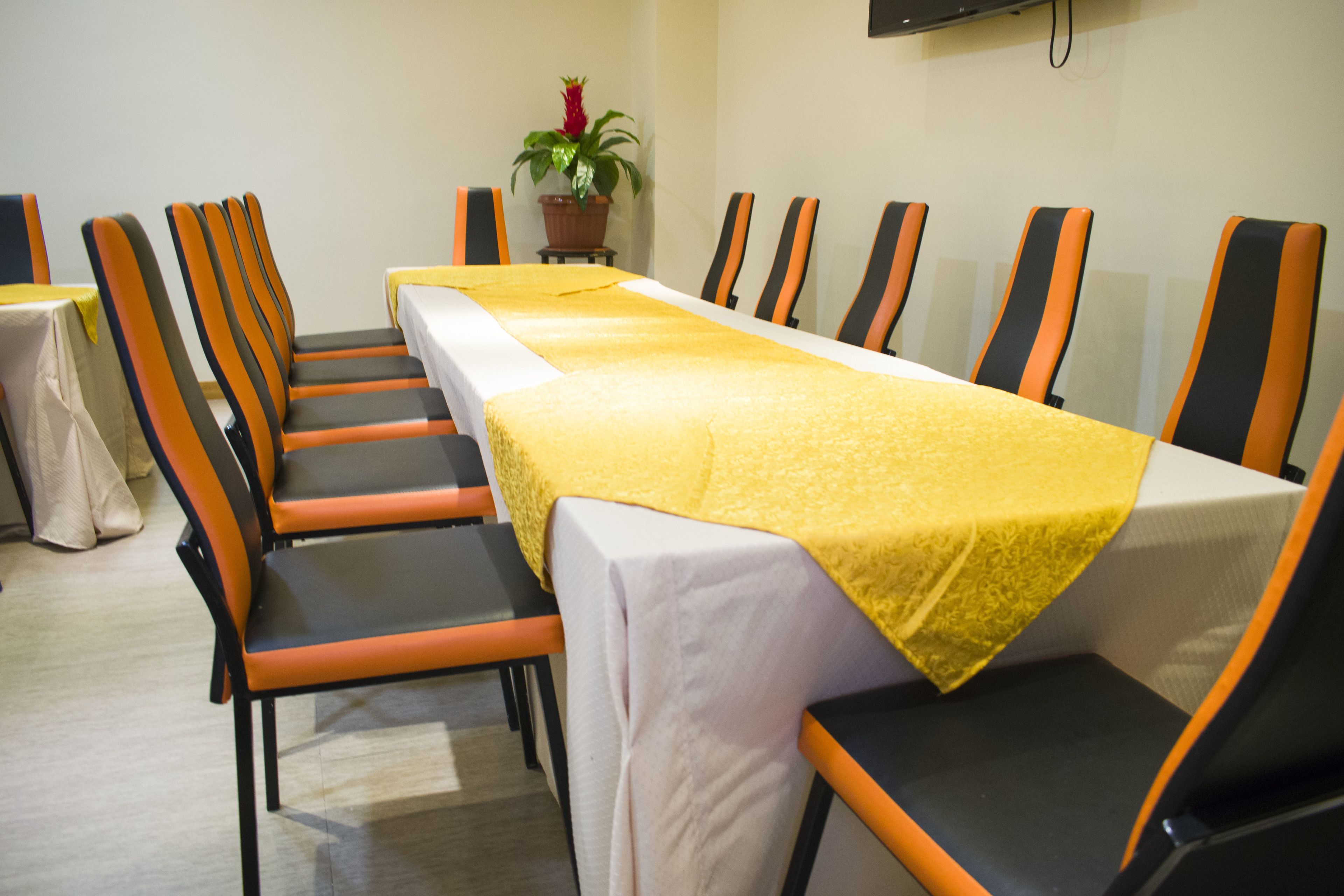 A conference room with a long table, multiple chairs, and a potted plant.