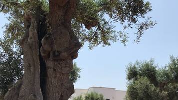 Parco della struttura