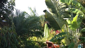 A garden with various plants and a pathway. - Chalet D'Azaé, from relaxation to escape one step! (La Rivière, Saint-Louis)
