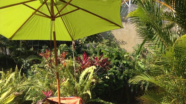 A poolside area with a lounge chair and umbrella, surrounded by tropical plants and a stone-tiled deck. - Chalet D'Azaé, from relaxation to escape one step! (La Rivière, Saint-Louis)