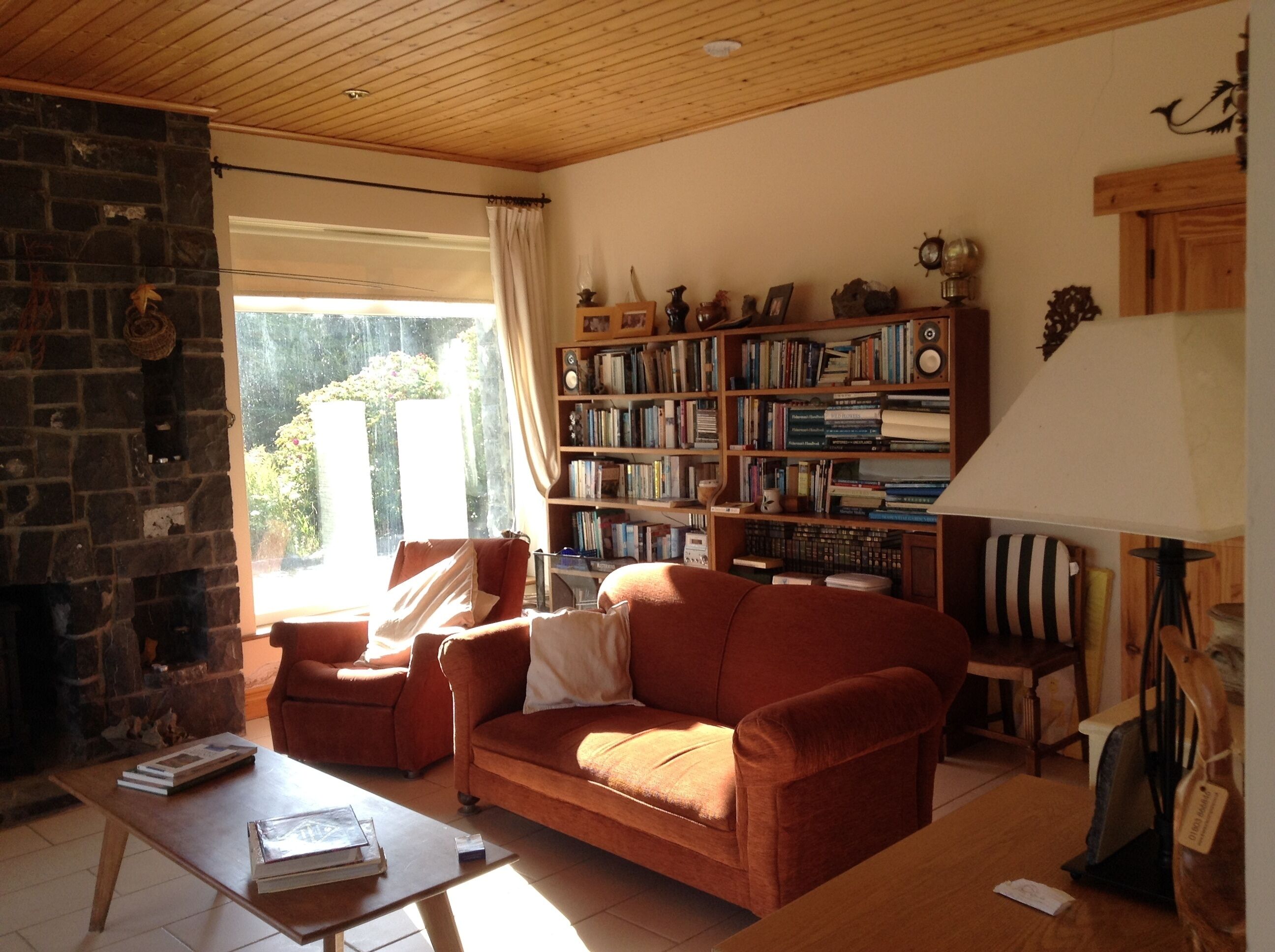 Una televisión, una chimenea, un reproductor de DVD, libros