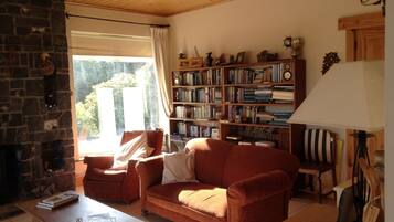 Una televisión, una chimenea, un reproductor de DVD, libros