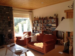 Un salon chaleureux avec une cheminée, une bibliothèque remplie de livres, un canapé et une table basse.