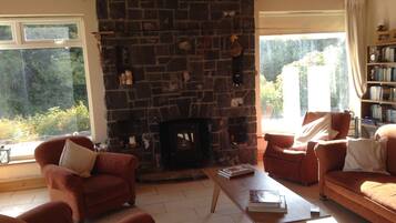 Televisión, chimenea, reproductor de DVD y libros