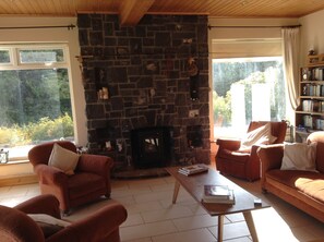 TV, fireplace, DVD player, books -  Lakeside Fishing Lodge, 6 bedrooms, 4 bathrooms, Kilbeg, Headford, Co Galway (Headford)
