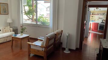 Smart-tv, een open haard, boeken en een computerscherm