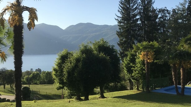 A grassy field with trees and a mountain in the background.
