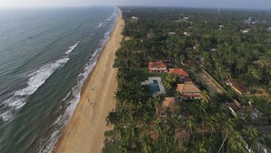 Vista aérea de una zona costera con playa, casas y palmeras.