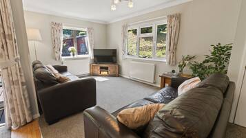 Télévision, lecteur de DVD