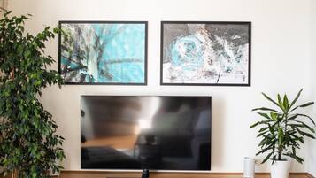 Una Smart TV, una chimenea, un reproductor de DVD, libros