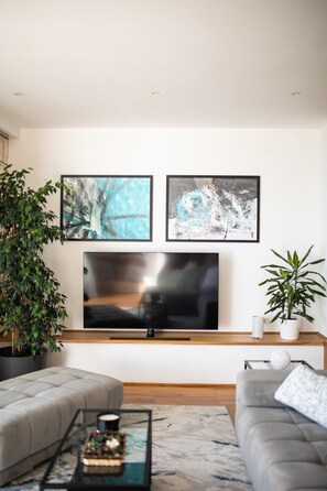 TV connectée, cheminée, lecteur de DVD, livres