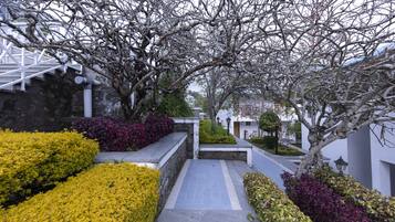 Standard Room, 1 Double Bed | View from room