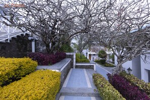 Un sendero bordeado por setos y árboles bien cuidados, que conduce a un edificio con muro de piedra y cerca blanca.