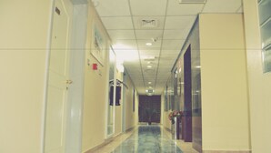 Um corredor comprido e estreito com piso polido, portas à esquerda e um vaso de planta à direita.