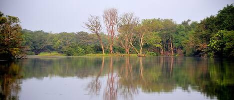 Un lago tranquilo con reflejos de árboles y un área boscosa al fondo.