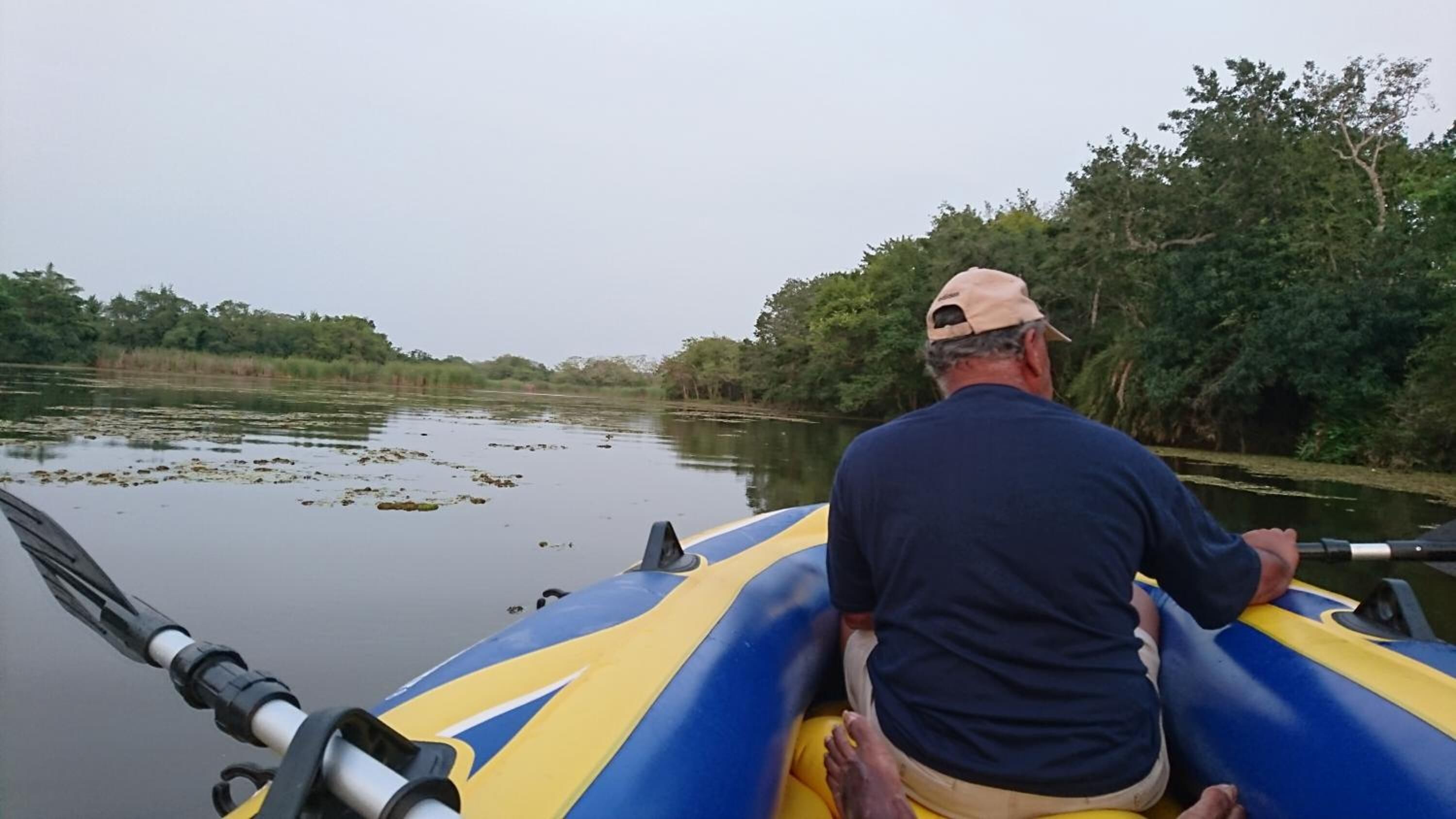 Um homem num caiaque em um rio calmo, cercado por vegetação densa.