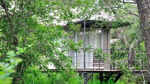 A rustic wooden cabin with a metal staircase, surrounded by dense greenery. - The Backwaters (Eluwankulama)