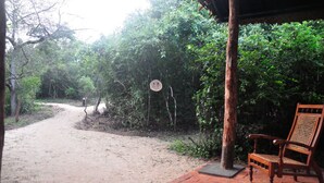 A dirt path leading through a forested area with a bench and a signpost visible. - The Backwaters (Eluwankulama)